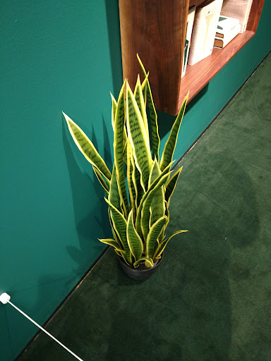 Art Museum «Museum Of Contemporary Art Chicago», reviews and photos, 220 E Chicago Ave, Chicago, IL 60611, USA