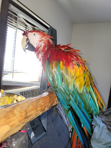 Pet Supply Store «PetSmart», reviews and photos, 5001 Sergeant Rd, Sioux City, IA 51106, USA