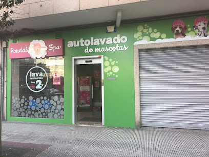 Pondal Spa - Servicios para mascota en Pontevedra