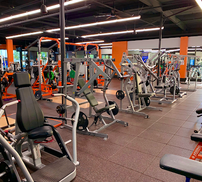 Muscle Factory Gym - 1301 E University Dr UNIT 125, Tempe, AZ 85288