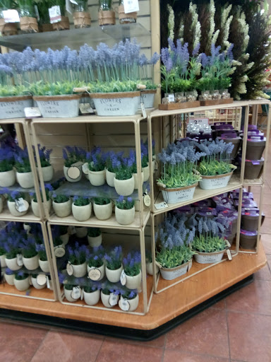 Home Goods Store «Christmas Tree Shops», reviews and photos, 1150 The Arches Cir, Deer Park, NY 11729, USA