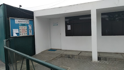 Veterinaria. Servicio de Medicina Veterinaria. Municipalidad de San Borja.