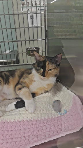 Pet Supply Store «PetSmart», reviews and photos, 10 Traders Way, Salem, MA 01970, USA