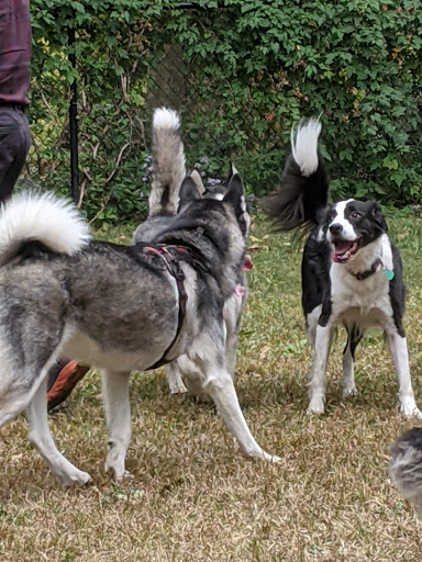 Park «Kingsland Point County Park», reviews and photos, Tarrytown Light-Kingsland Point Path, Sleepy Hollow, NY 10591, USA