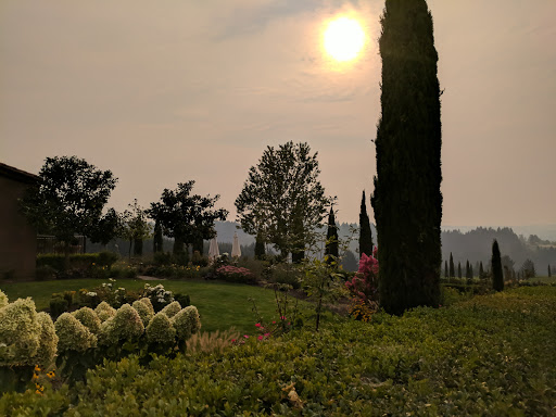 Winery «Alloro Vineyard», reviews and photos, 22075 SW Lebeau Rd, Sherwood, OR 97140, USA