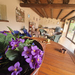 Photo n°12 de l'avis de Simon.r fait le 30/04/2021 à 12:04 sur le  La Collina delle Ginestre à Enna