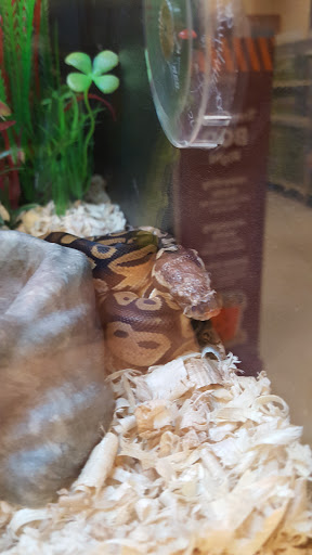 Pet Supply Store «PetSmart», reviews and photos, 625 W Crossville Rd, Roswell, GA 30075, USA