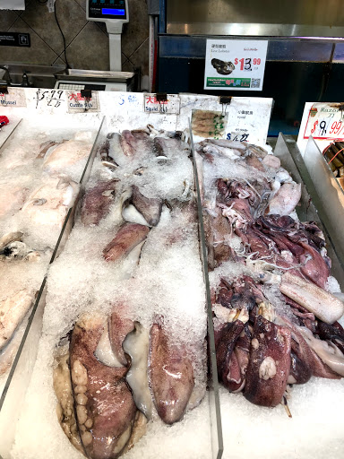 Asian Grocery Store «New York Mart», reviews and photos, 10065 Sunset Strip, Sunrise, FL 33322, USA