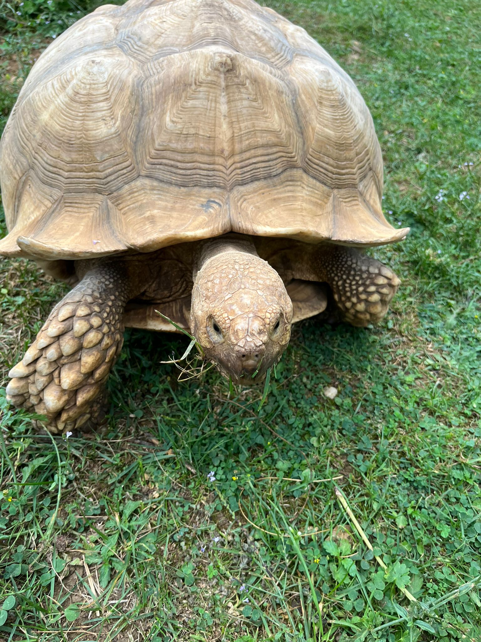 Photo n° 1 de l'avis de Adeline. fait le 18/08/2023 à 22:13