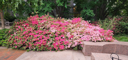 Museum «Smithsonian Castle», reviews and photos, 1000 Jefferson Dr SW, Washington, DC 20560, USA