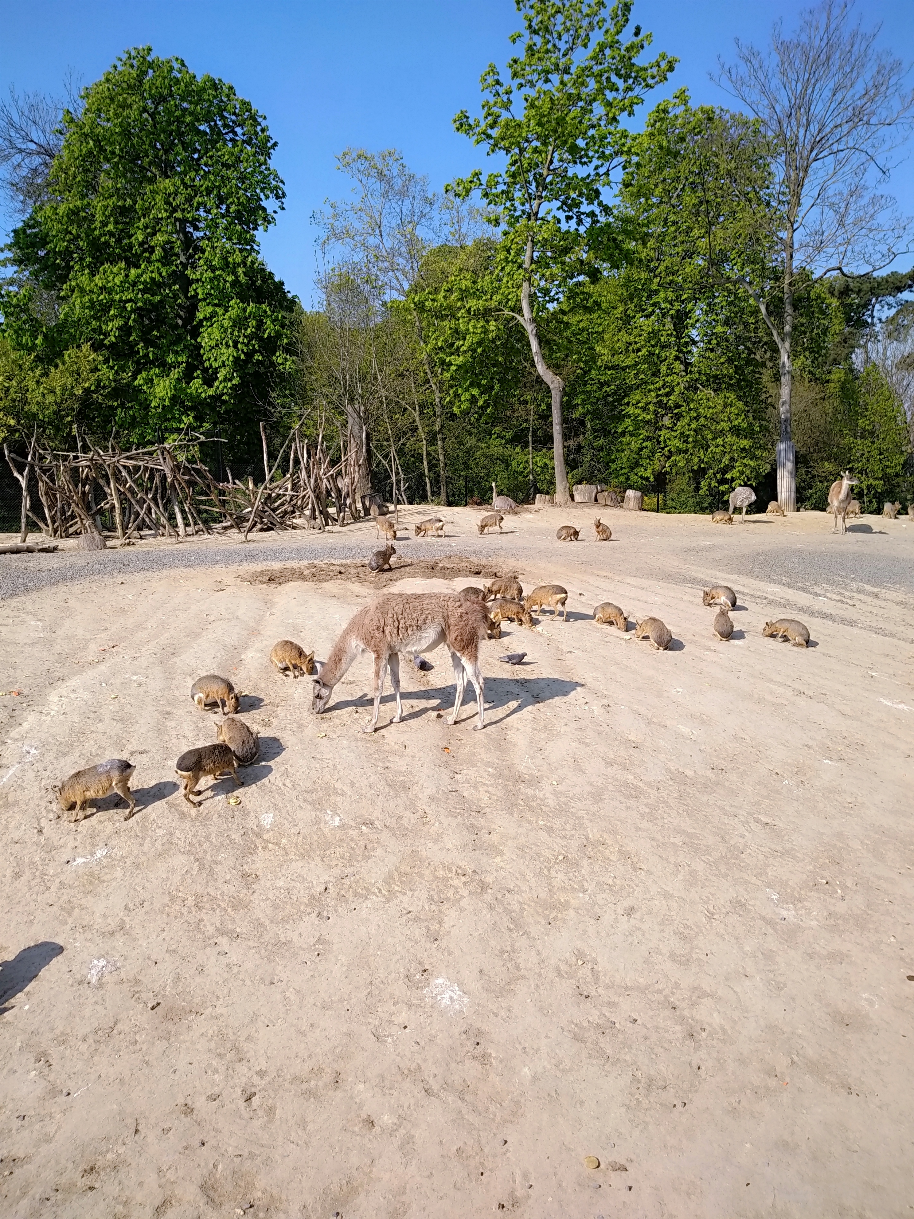 Photo n° 6 de l'avis de Emma. fait le 20/04/2019 à 14:59
