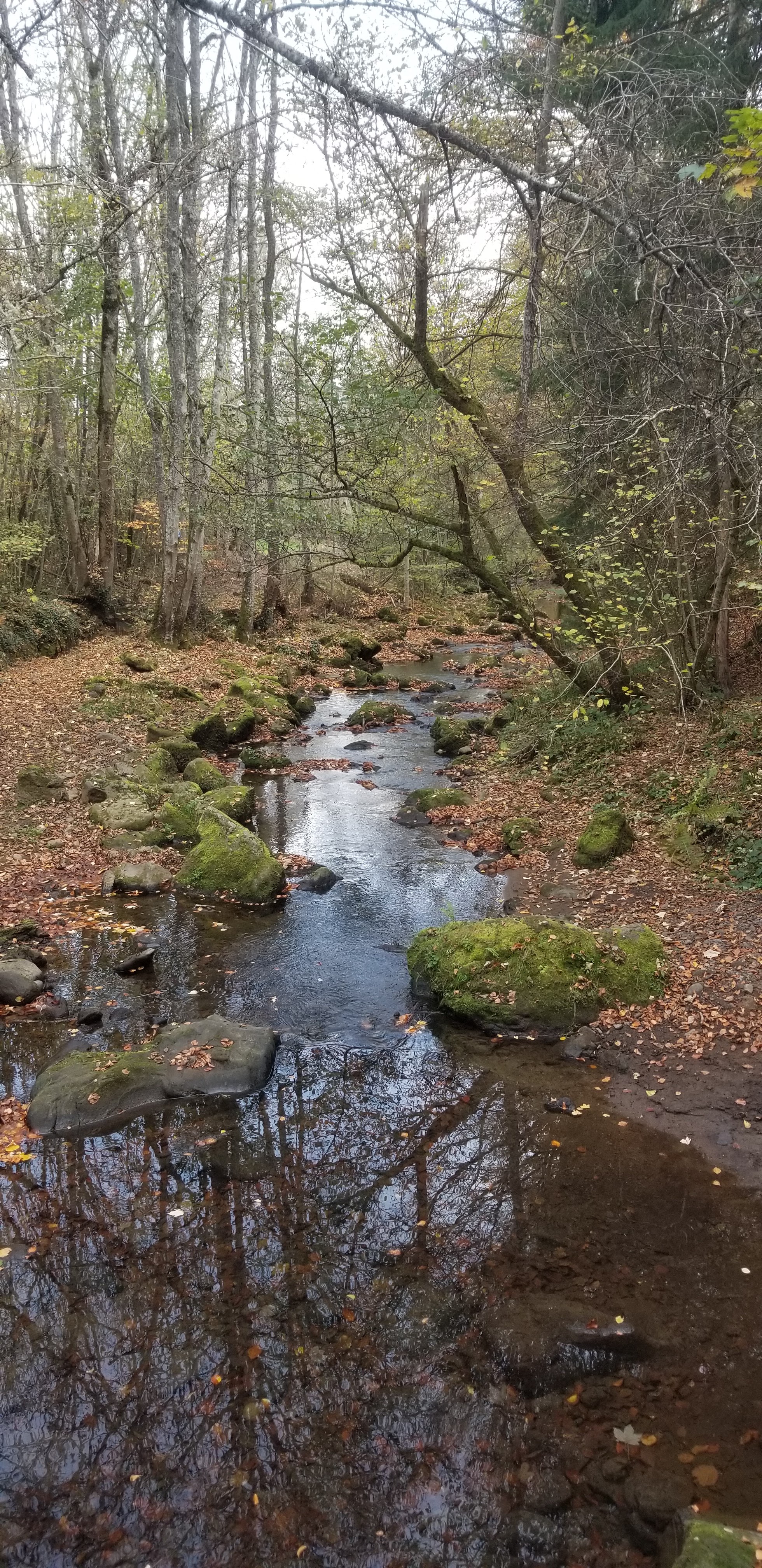 Photo n° 6 de l'avis de Céline.O fait le 31/10/2022 à 19:54
