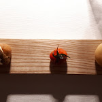 Photo n°5 de l'avis de maria.r fait le 26/06/2021 à 05:15 sur le  Casa Coloni Ristorante à Paestum