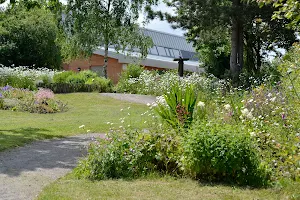 RSPB Sandwell Valley image