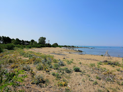 Spiaggia del Mort'in fotoğrafı birden fazla uzun koy ile birlikte