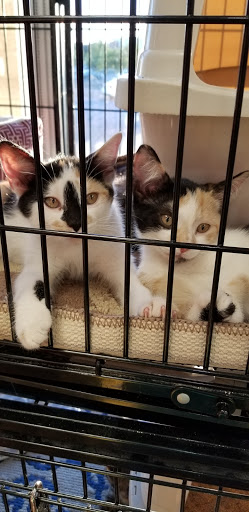 Pet Store «Pet Valu», reviews and photos, 1091 Mill Creek Rd #5a, Allentown, PA 18106, USA