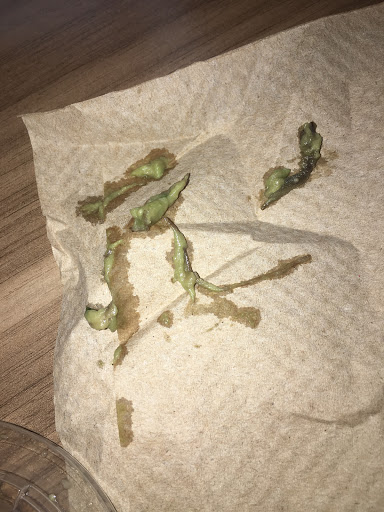 Mexican Restaurant «Chipotle Mexican Grill», reviews and photos, 1301 W Davis St, Conroe, TX 77304, USA