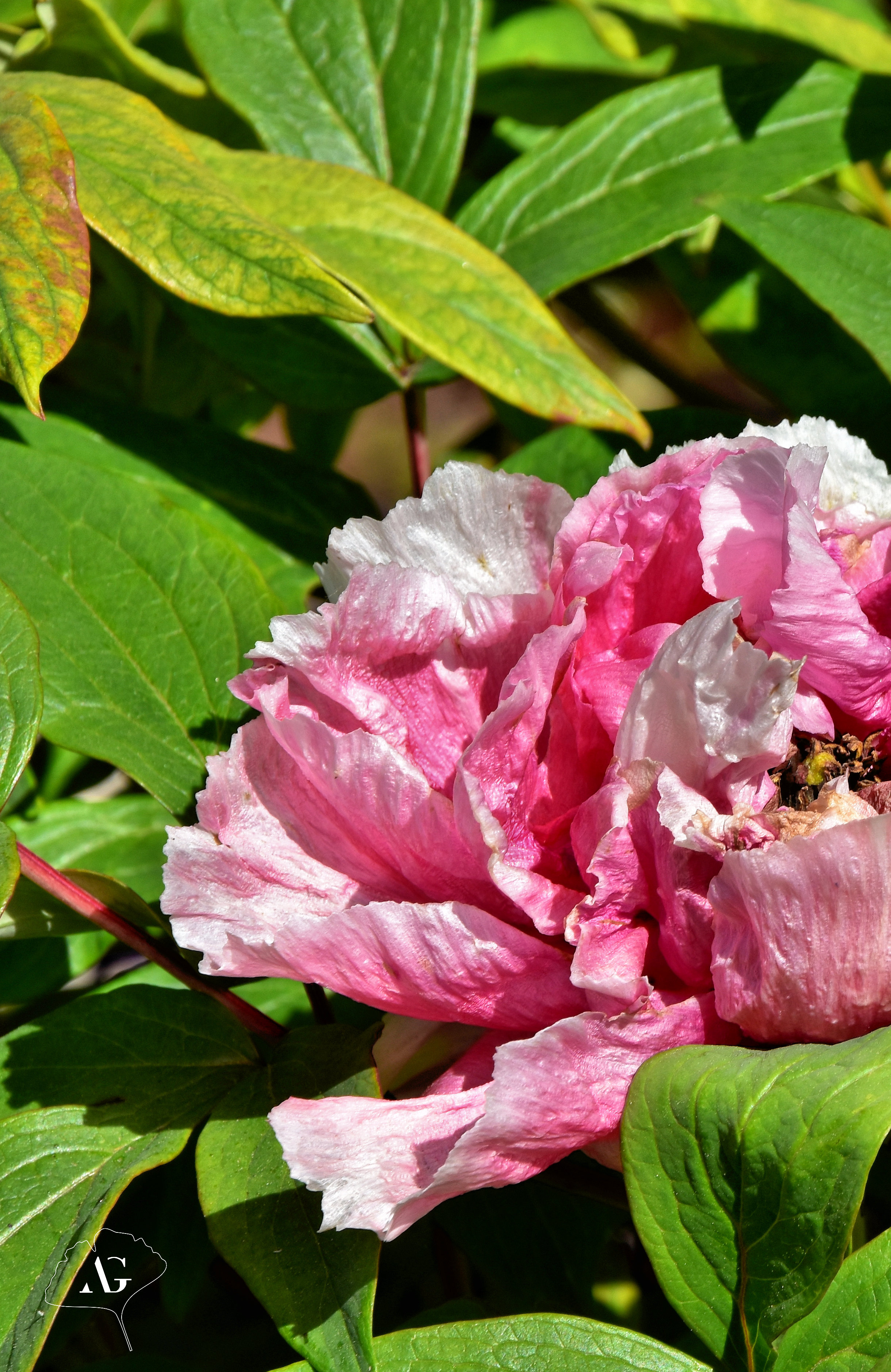 Photo n° 5 de l'avis de Audrey.. fait le 17/05/2022 à 09:49