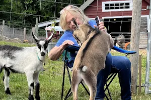 Happy Goats Farm image