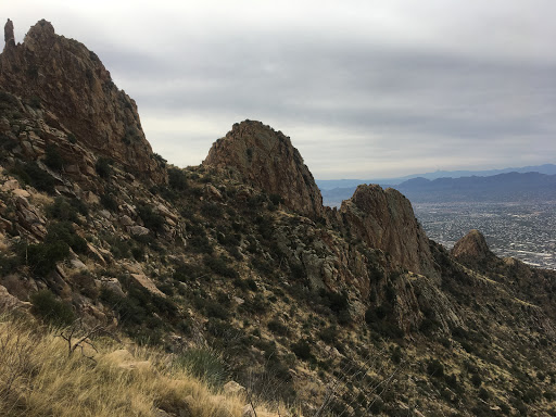 Tourist Attraction «Linda Vista Trail», reviews and photos, 730 E Linda Vista Rd, Oro Valley, AZ 85737, USA