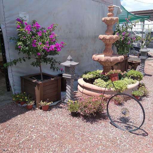 Centro jardineria Ciudad Juarez