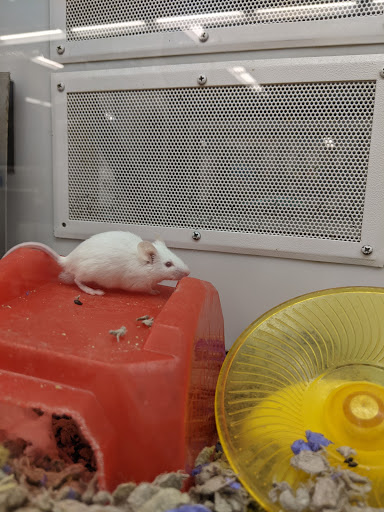 Pet Supply Store «Petco Animal Supplies», reviews and photos, 1090 Fort Union Blvd, Midvale, UT 84047, USA