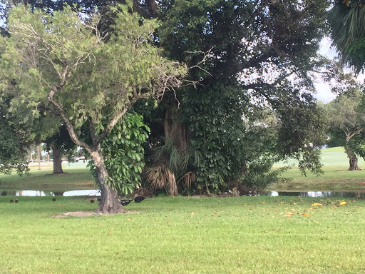 Golf Club «Woodlands Country Club», reviews and photos, 4600 Woodlands Blvd, Tamarac, FL 33319, USA