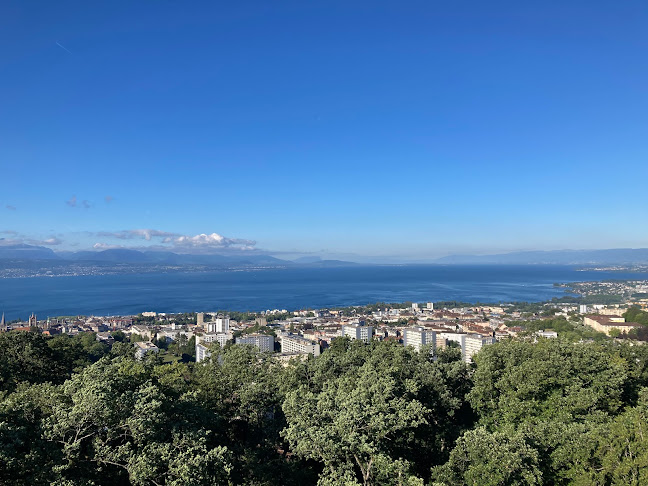 Rezensionen über Sauvabelin-Turm in Lausanne - Museum