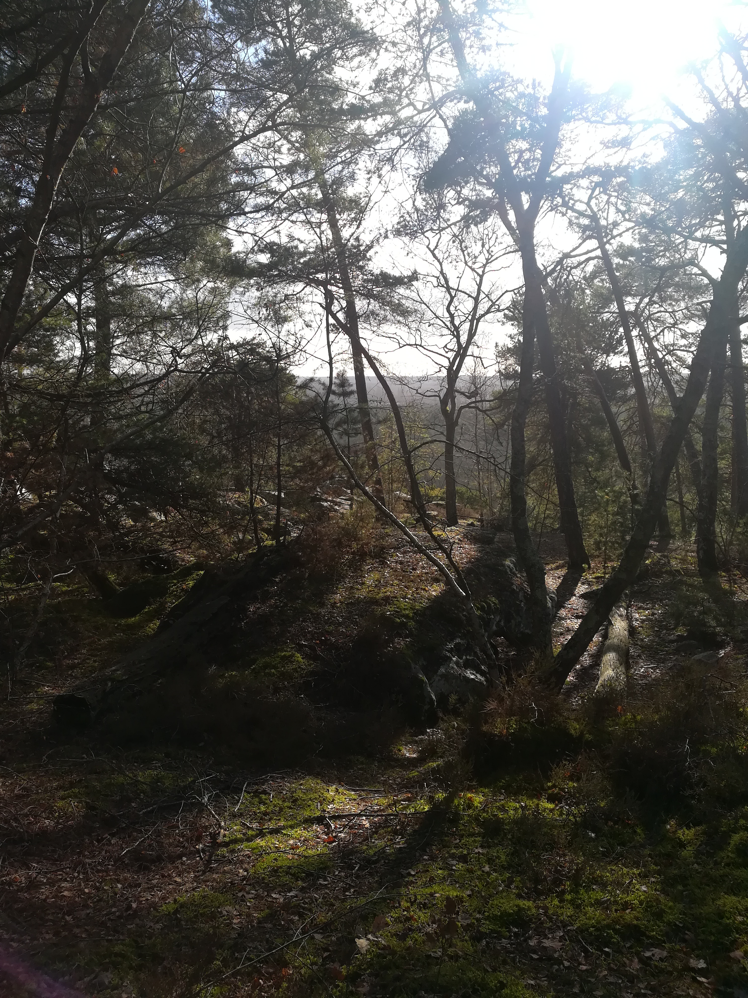Photo n° 1 de l'avis de Pauline.o fait le 14/03/2020 à 13:35