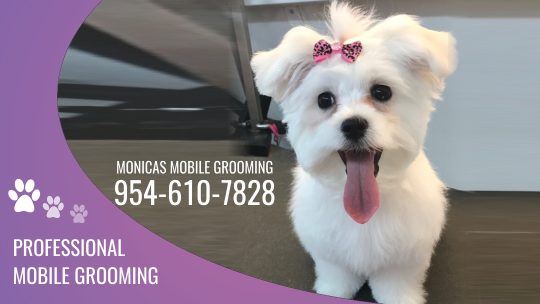 Monicas Mobile Grooming