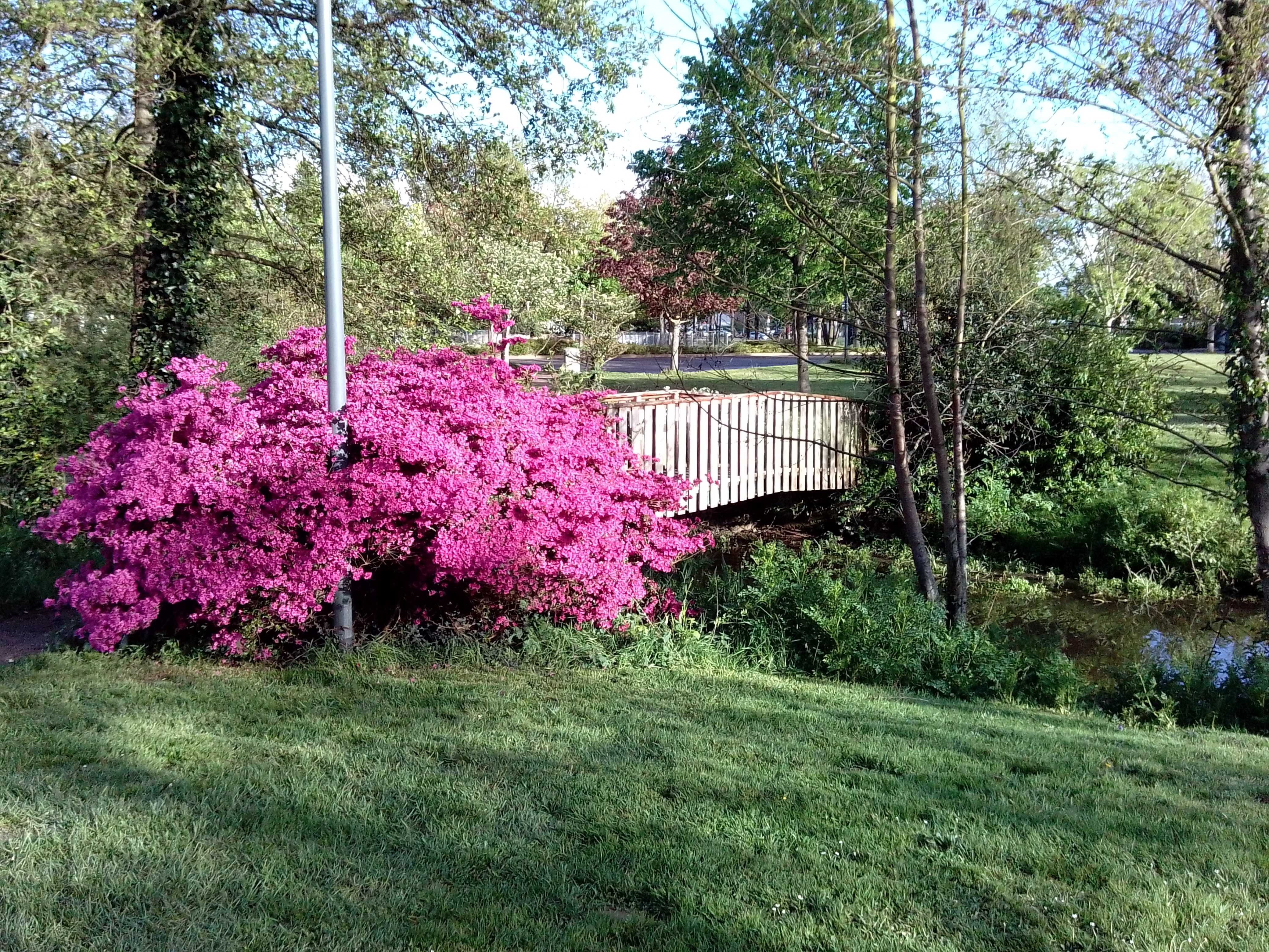 Photo n° 1 de l'avis de Carine. fait le 26/04/2019 à 20:15