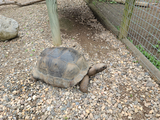 Park «Lake Tobias Wildlife Park», reviews and photos, 760 Tobias Road, Halifax, PA 17032, USA