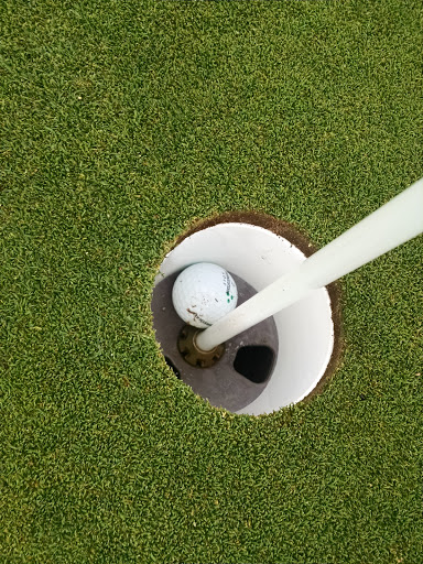 Public Golf Course «Wellshire Golf Course», reviews and photos, 3333 S Colorado Blvd, Denver, CO 80222, USA