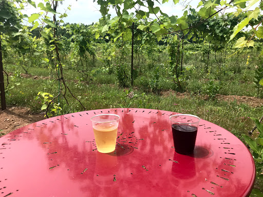Winery «Seven Ponds Winery», reviews and photos, 87380 Betzold Rd, Bayfield, WI 54814, USA