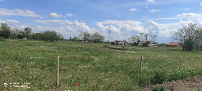 Szentkirály, Felső tanya 202., 6031 Magyarország
