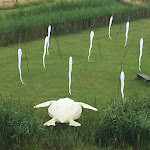 Photo n° 3 de l'avis de Benedicte.u fait le 27/06/2021 à 22:23 pour Terres d'Oiseaux à Braud-et-Saint-Louis