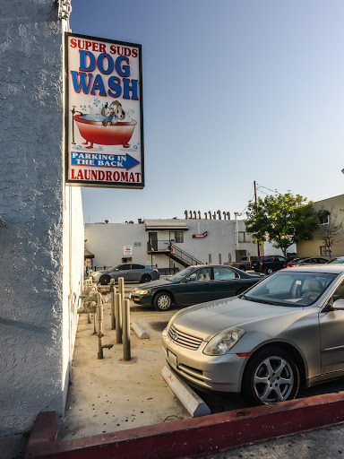 Laundromat «Super Suds Laundromat & Wash and Fold», reviews and photos, 250 Alamitos Ave, Long Beach, CA 90802, USA