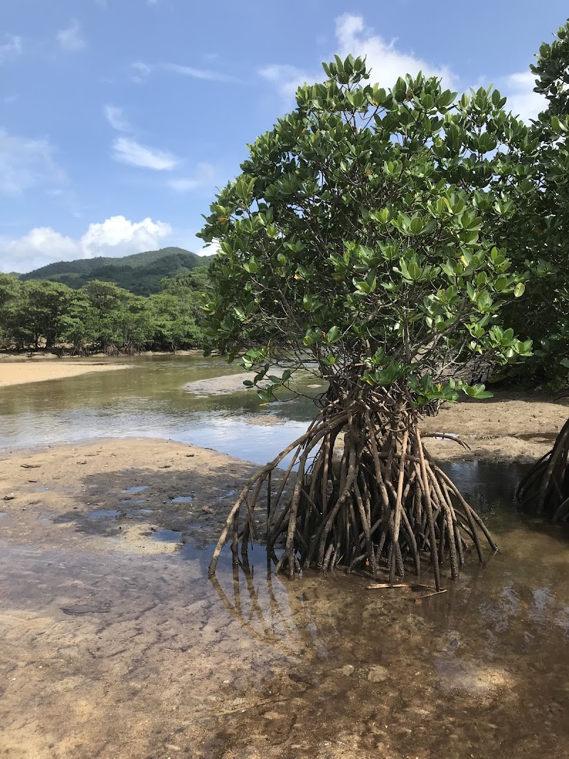 わく楽島人観光