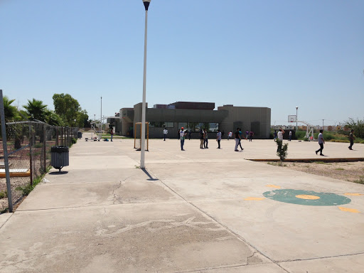 Universidad Tecnológica de Torreón