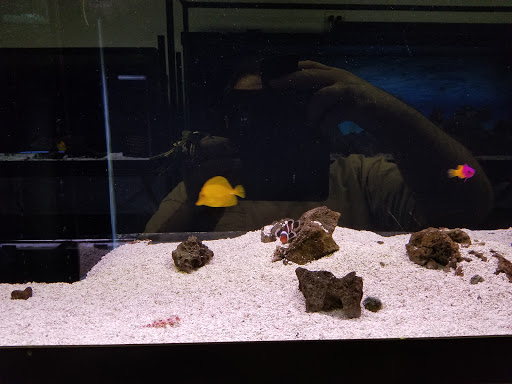 Tropical Fish Store «Seascape Aquatics», reviews and photos, 5038 Academy Blvd N, Colorado Springs, CO 80918, USA