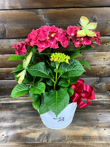 Florist «Cool Florist and Gifts», reviews and photos, 2968 CA-49 i, Cool, CA 95614, USA