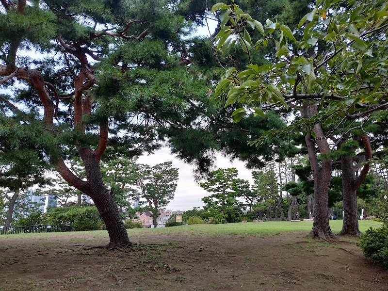 鵜の木松山公園 東京都大田区鵜の木 公園 公園 グルコミ