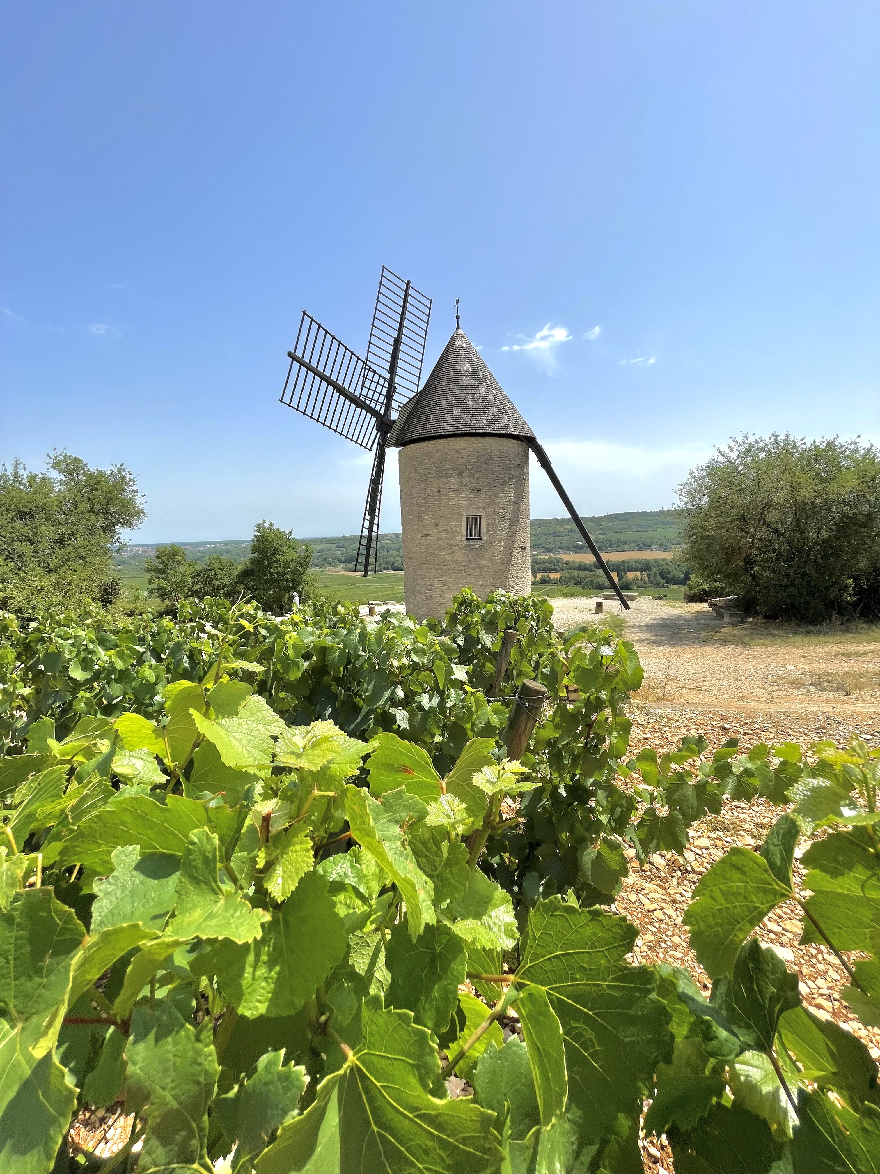 Photo n° 2 de l'avis de Isabelle. fait le 18/07/2023 à 17:11