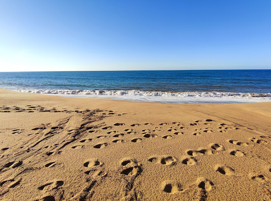 Praia da Gralha