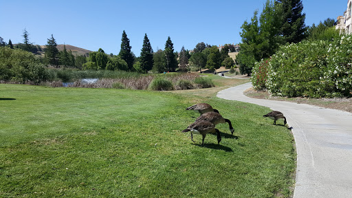 Golf Course «Canyon Lakes Golf Course & Brewery», reviews and photos, 640 Bollinger Canyon Way, San Ramon, CA 94582, USA