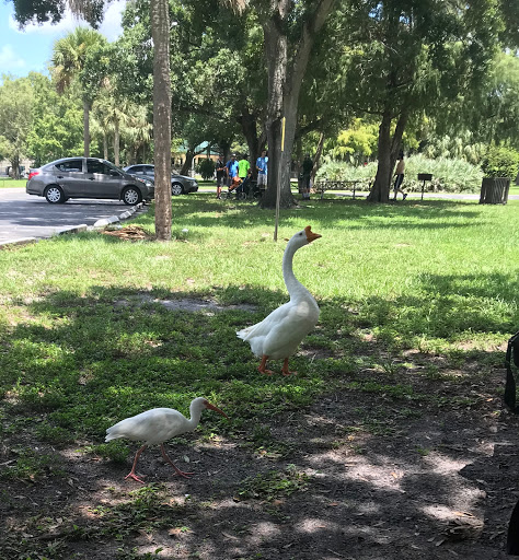 Park «Easterlin Park», reviews and photos, 1000 NW 38th St, Oakland Park, FL 33309, USA