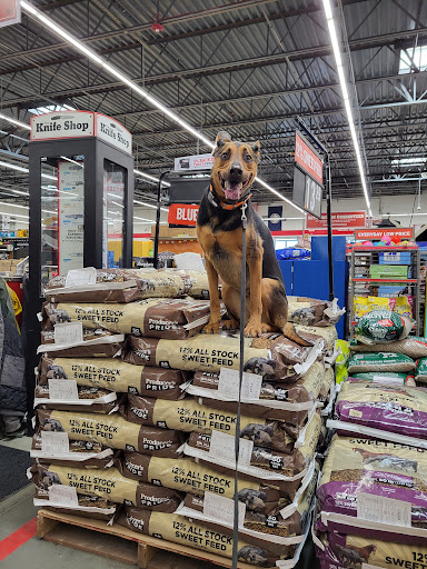 Dog Trainer «Off Leash K9 Training, Charlottesville», reviews and photos, 8782 Seminole Trail, Ruckersville, VA 22968, USA