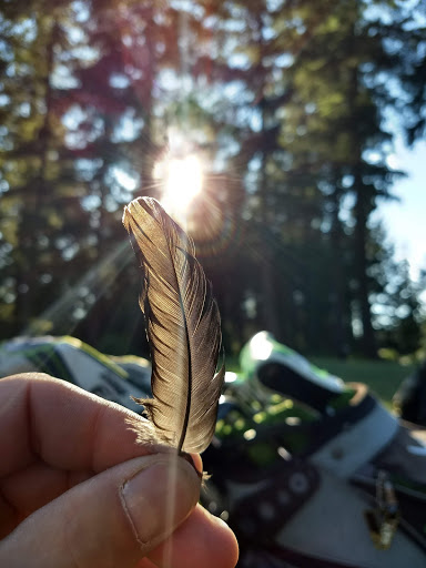 Golf Course «Brookdale Golf Course», reviews and photos, 1802 Brookdale Rd E, Tacoma, WA 98445, USA