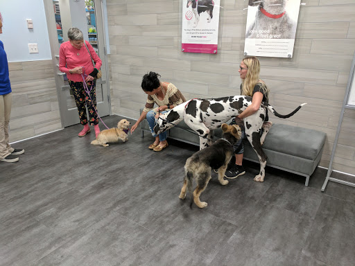 Pet Store «PetSmart», reviews and photos, 213 Greenville Hwy, Hendersonville, NC 28792, USA