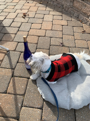 Winery «Villa Antonio Winery», reviews and photos, 3660 Linhorst Rd, Hillsboro, MO 63050, USA